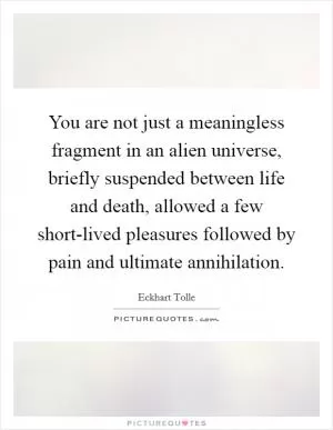 You are not just a meaningless fragment in an alien universe, briefly suspended between life and death, allowed a few short-lived pleasures followed by pain and ultimate annihilation Picture Quote #1