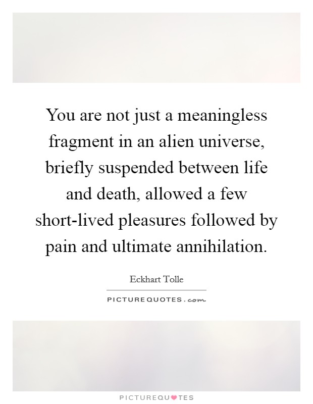 You are not just a meaningless fragment in an alien universe, briefly suspended between life and death, allowed a few short-lived pleasures followed by pain and ultimate annihilation. Picture Quote #1