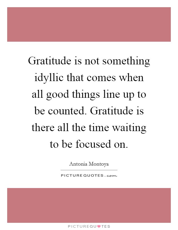 Gratitude is not something idyllic that comes when all good things line up to be counted. Gratitude is there all the time waiting to be focused on. Picture Quote #1