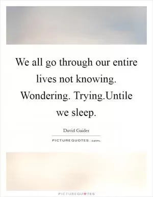 We all go through our entire lives not knowing. Wondering. Trying.Untile we sleep Picture Quote #1