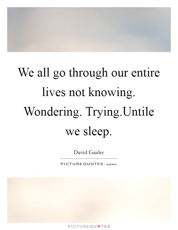 We all go through our entire lives not knowing. Wondering. Trying.Untile we sleep. Picture Quote #1