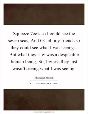 Squeeze 7cc’s so I could see the seven seas, And CC all my friends so they could see what I was seeing... But what they saw was a despicable human being; So, I guess they just wasn’t seeing what I was seeing Picture Quote #1