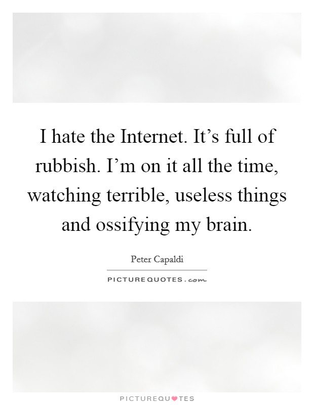 I hate the Internet. It's full of rubbish. I'm on it all the time, watching terrible, useless things and ossifying my brain. Picture Quote #1