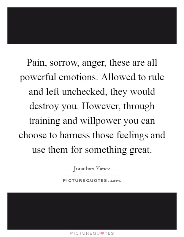 Pain, sorrow, anger, these are all powerful emotions. Allowed to rule and left unchecked, they would destroy you. However, through training and willpower you can choose to harness those feelings and use them for something great. Picture Quote #1