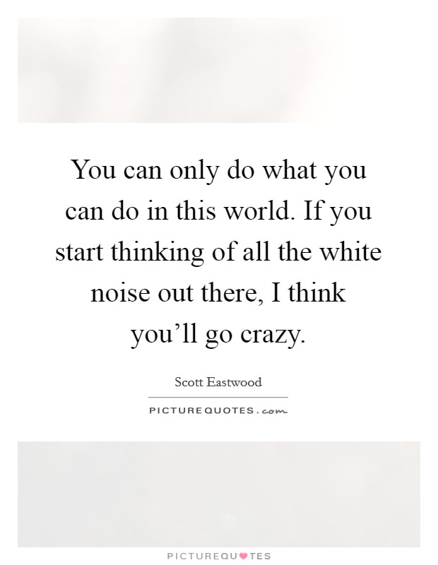 You can only do what you can do in this world. If you start thinking of all the white noise out there, I think you'll go crazy. Picture Quote #1