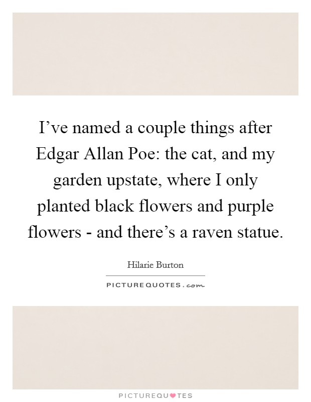 I've named a couple things after Edgar Allan Poe: the cat, and my garden upstate, where I only planted black flowers and purple flowers - and there's a raven statue. Picture Quote #1