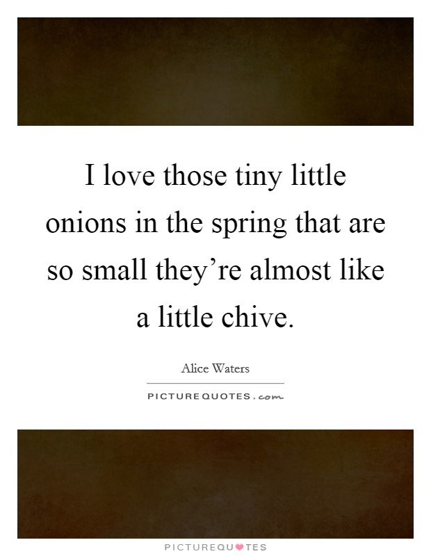 I love those tiny little onions in the spring that are so small they're almost like a little chive. Picture Quote #1
