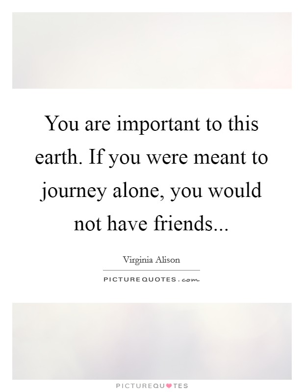 You are important to this earth. If you were meant to journey alone, you would not have friends... Picture Quote #1