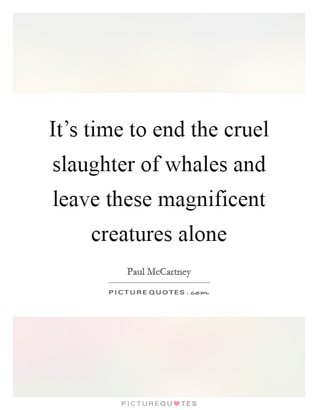 It's time to end the cruel slaughter of whales and leave these magnificent creatures alone Picture Quote #1