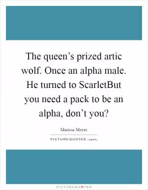 The queen’s prized artic wolf. Once an alpha male. He turned to ScarletBut you need a pack to be an alpha, don’t you? Picture Quote #1