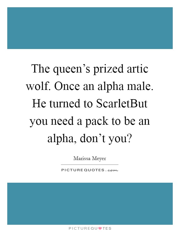 The queen's prized artic wolf. Once an alpha male. He turned to ScarletBut you need a pack to be an alpha, don't you? Picture Quote #1