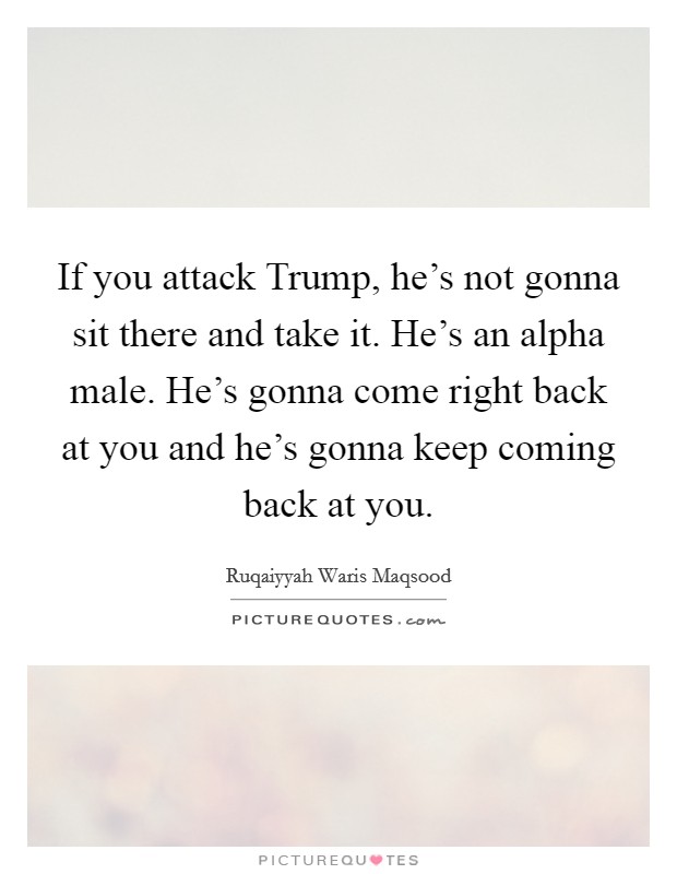 If you attack Trump, he's not gonna sit there and take it. He's an alpha male. He's gonna come right back at you and he's gonna keep coming back at you. Picture Quote #1