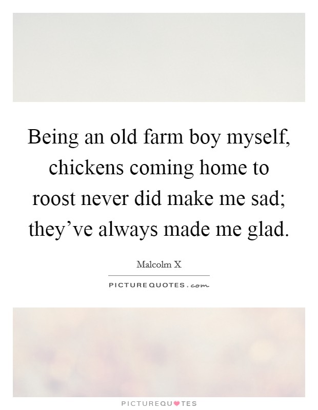 Being an old farm boy myself, chickens coming home to roost never did make me sad; they've always made me glad. Picture Quote #1