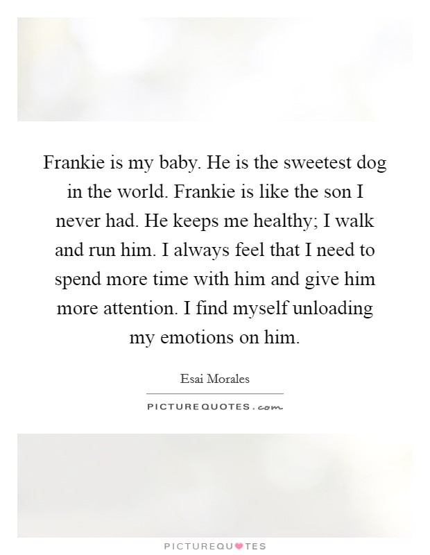Frankie is my baby. He is the sweetest dog in the world. Frankie is like the son I never had. He keeps me healthy; I walk and run him. I always feel that I need to spend more time with him and give him more attention. I find myself unloading my emotions on him. Picture Quote #1