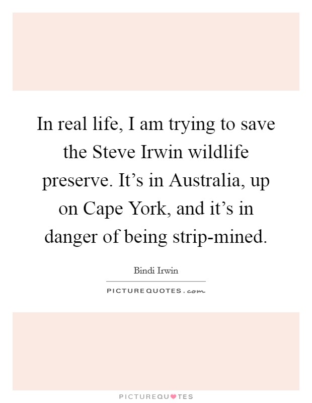 In real life, I am trying to save the Steve Irwin wildlife preserve. It's in Australia, up on Cape York, and it's in danger of being strip-mined. Picture Quote #1