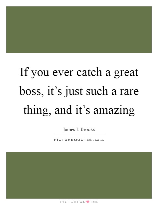 If you ever catch a great boss, it's just such a rare thing, and it's amazing Picture Quote #1