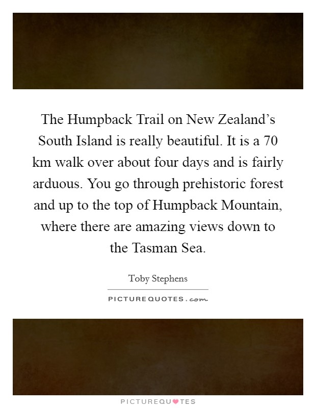 The Humpback Trail on New Zealand's South Island is really beautiful. It is a 70 km walk over about four days and is fairly arduous. You go through prehistoric forest and up to the top of Humpback Mountain, where there are amazing views down to the Tasman Sea. Picture Quote #1