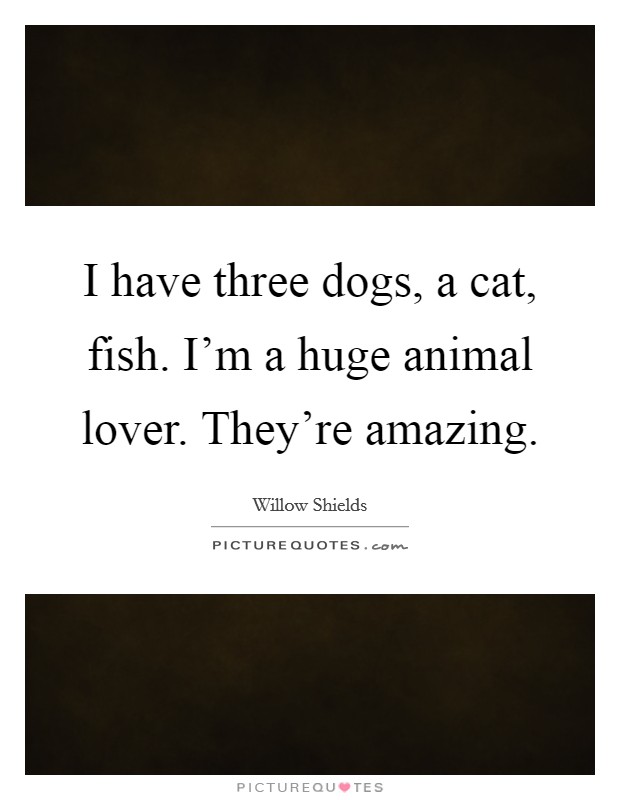 I have three dogs, a cat, fish. I'm a huge animal lover. They're amazing. Picture Quote #1