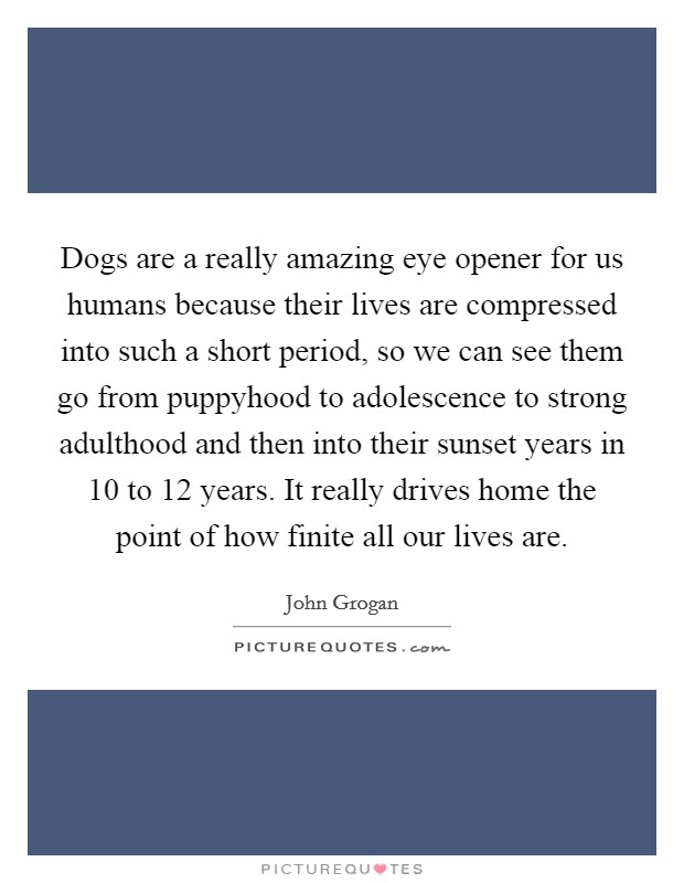 Dogs are a really amazing eye opener for us humans because their lives are compressed into such a short period, so we can see them go from puppyhood to adolescence to strong adulthood and then into their sunset years in 10 to 12 years. It really drives home the point of how finite all our lives are. Picture Quote #1
