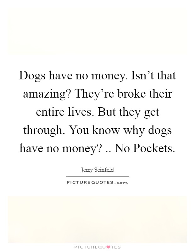 Dogs have no money. Isn't that amazing? They're broke their entire lives. But they get through. You know why dogs have no money? .. No Pockets. Picture Quote #1