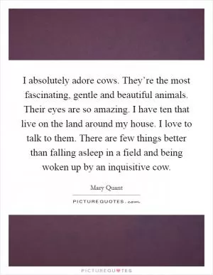 I absolutely adore cows. They’re the most fascinating, gentle and beautiful animals. Their eyes are so amazing. I have ten that live on the land around my house. I love to talk to them. There are few things better than falling asleep in a field and being woken up by an inquisitive cow Picture Quote #1