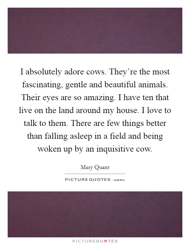 I absolutely adore cows. They're the most fascinating, gentle and beautiful animals. Their eyes are so amazing. I have ten that live on the land around my house. I love to talk to them. There are few things better than falling asleep in a field and being woken up by an inquisitive cow. Picture Quote #1