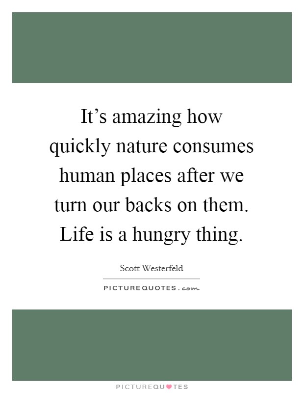 It’s amazing how quickly nature consumes human places after we turn our backs on them. Life is a hungry thing Picture Quote #1