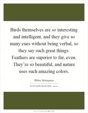 Birds themselves are so interesting and intelligent, and they give so many cues without being verbal, so they say such great things. Feathers are superior to fur, even. They’re so beautiful, and nature uses such amazing colors Picture Quote #1