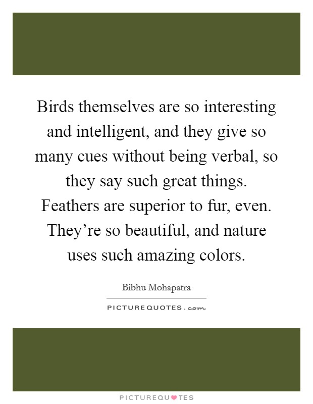 Birds themselves are so interesting and intelligent, and they give so many cues without being verbal, so they say such great things. Feathers are superior to fur, even. They're so beautiful, and nature uses such amazing colors. Picture Quote #1