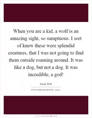 When you are a kid, a wolf is an amazing sight, so sumptuous. I sort of knew these were splendid creatures, that I was not going to find them outside roaming around. It was like a dog, but not a dog. It was incredible, a god! Picture Quote #1