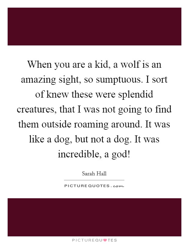 When you are a kid, a wolf is an amazing sight, so sumptuous. I sort of knew these were splendid creatures, that I was not going to find them outside roaming around. It was like a dog, but not a dog. It was incredible, a god! Picture Quote #1