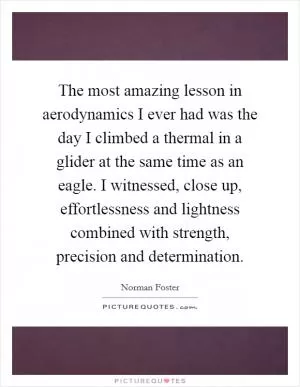 The most amazing lesson in aerodynamics I ever had was the day I climbed a thermal in a glider at the same time as an eagle. I witnessed, close up, effortlessness and lightness combined with strength, precision and determination Picture Quote #1