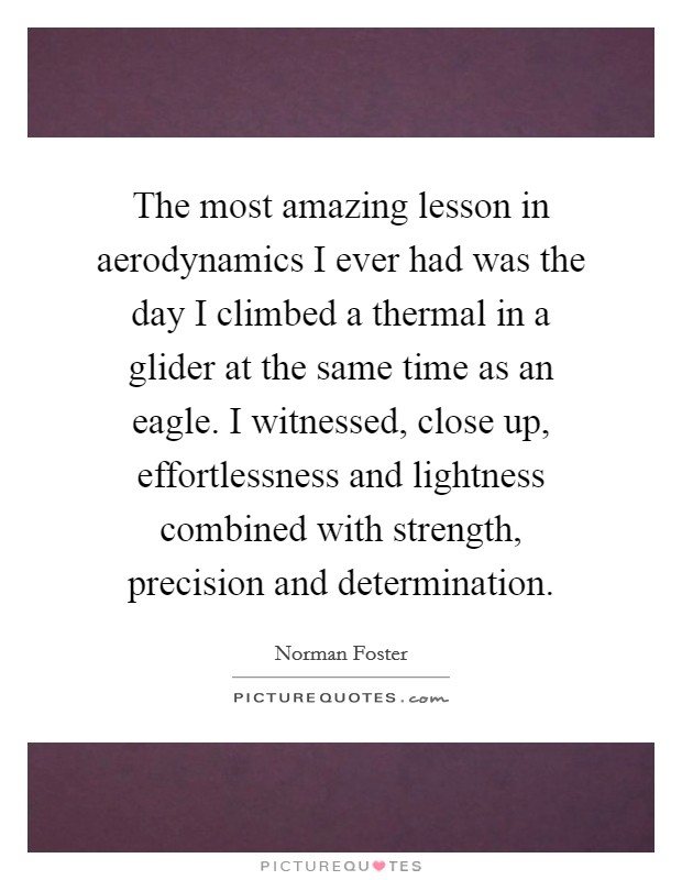 The most amazing lesson in aerodynamics I ever had was the day I climbed a thermal in a glider at the same time as an eagle. I witnessed, close up, effortlessness and lightness combined with strength, precision and determination. Picture Quote #1
