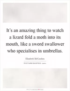 It’s an amazing thing to watch a lizard fold a moth into its mouth, like a sword swallower who specialises in umbrellas Picture Quote #1