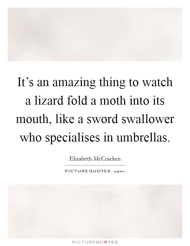 It's an amazing thing to watch a lizard fold a moth into its mouth, like a sword swallower who specialises in umbrellas. Picture Quote #1