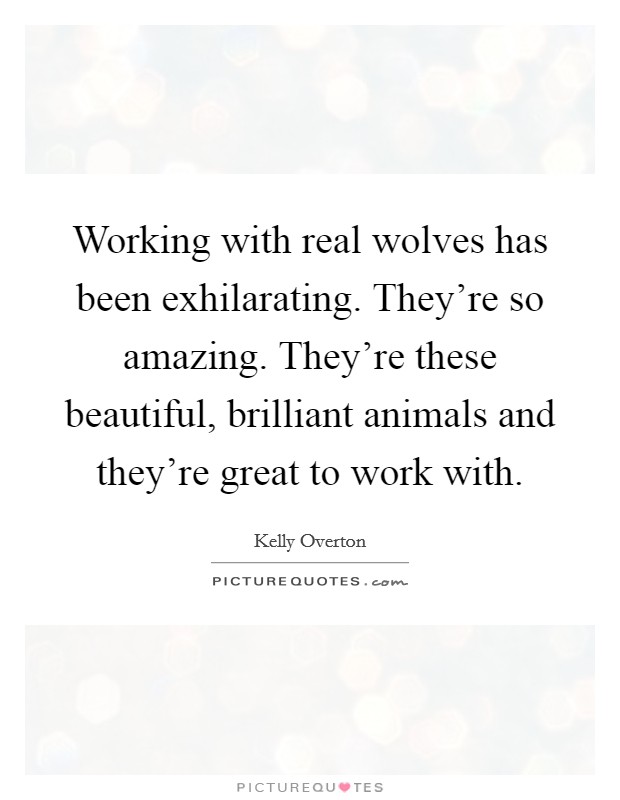 Working with real wolves has been exhilarating. They're so amazing. They're these beautiful, brilliant animals and they're great to work with. Picture Quote #1