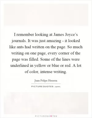 I remember looking at James Joyce’s journals. It was just amazing - it looked like ants had written on the page. So much writing on one page, every corner of the page was filled. Some of the lines were underlined in yellow or blue or red. A lot of color, intense writing Picture Quote #1