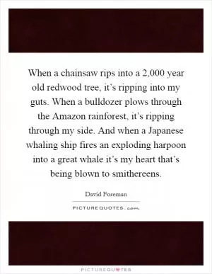 When a chainsaw rips into a 2,000 year old redwood tree, it’s ripping into my guts. When a bulldozer plows through the Amazon rainforest, it’s ripping through my side. And when a Japanese whaling ship fires an exploding harpoon into a great whale it’s my heart that’s being blown to smithereens Picture Quote #1