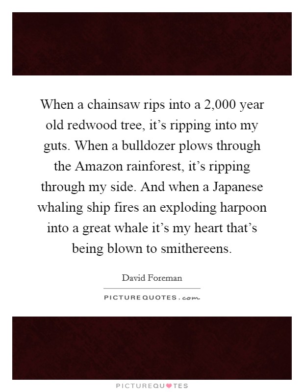 When a chainsaw rips into a 2,000 year old redwood tree, it's ripping into my guts. When a bulldozer plows through the Amazon rainforest, it's ripping through my side. And when a Japanese whaling ship fires an exploding harpoon into a great whale it's my heart that's being blown to smithereens. Picture Quote #1