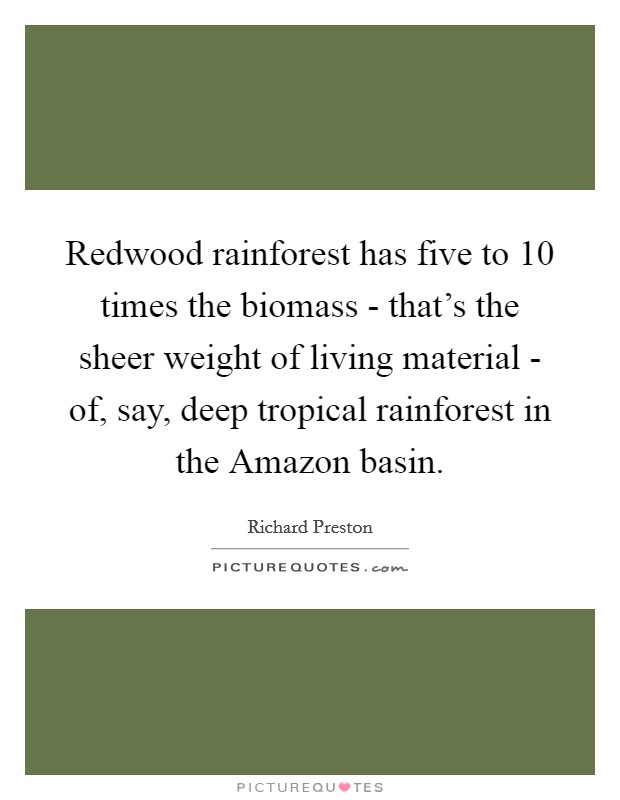 Redwood rainforest has five to 10 times the biomass - that's the sheer weight of living material - of, say, deep tropical rainforest in the Amazon basin. Picture Quote #1