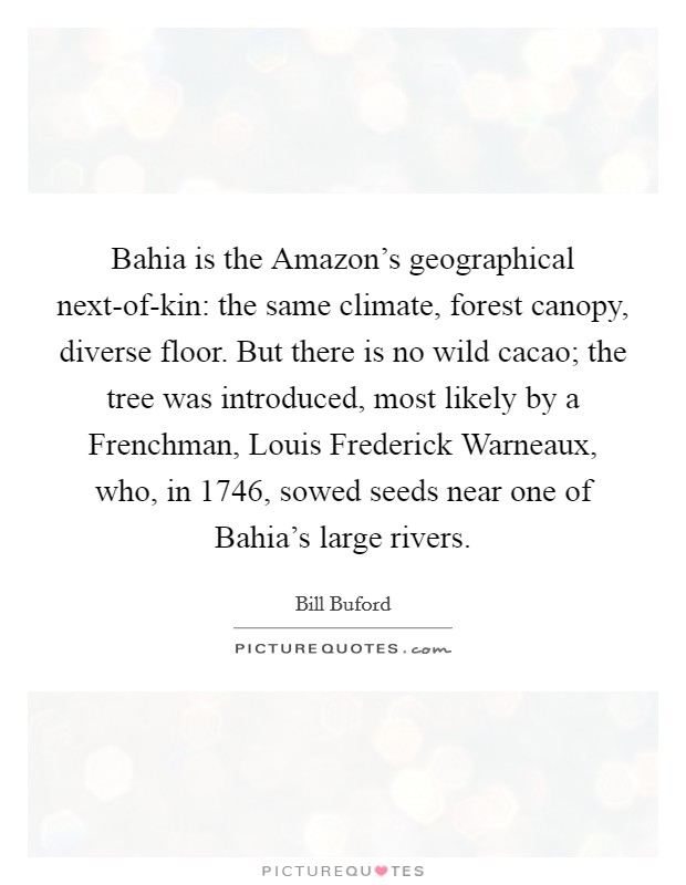 Bahia is the Amazon's geographical next-of-kin: the same climate, forest canopy, diverse floor. But there is no wild cacao; the tree was introduced, most likely by a Frenchman, Louis Frederick Warneaux, who, in 1746, sowed seeds near one of Bahia's large rivers. Picture Quote #1