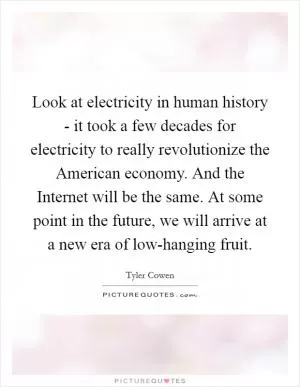 Look at electricity in human history - it took a few decades for electricity to really revolutionize the American economy. And the Internet will be the same. At some point in the future, we will arrive at a new era of low-hanging fruit Picture Quote #1