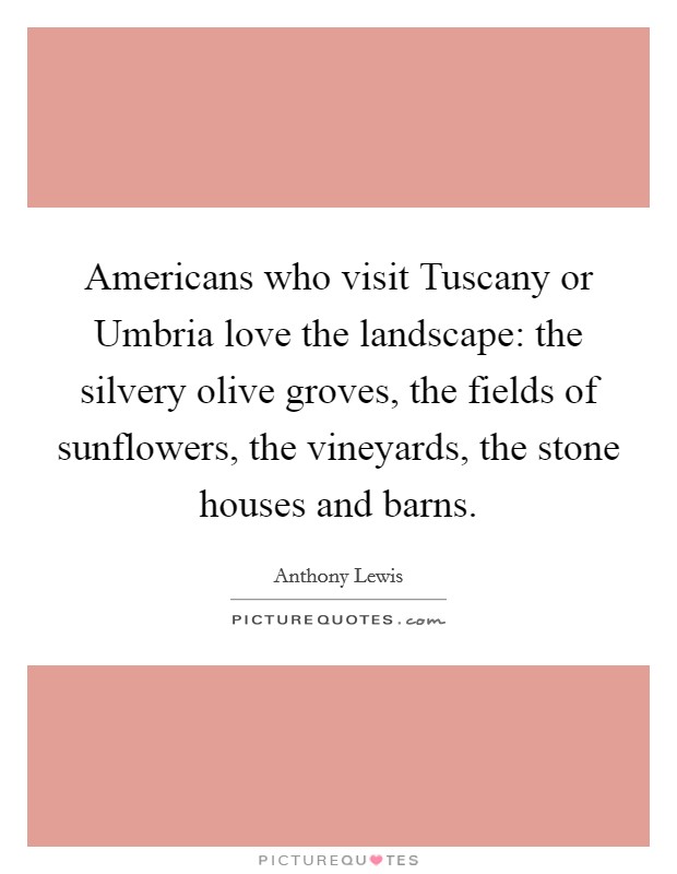 Americans who visit Tuscany or Umbria love the landscape: the silvery olive groves, the fields of sunflowers, the vineyards, the stone houses and barns Picture Quote #1