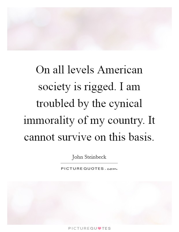 On all levels American society is rigged. I am troubled by the cynical immorality of my country. It cannot survive on this basis. Picture Quote #1
