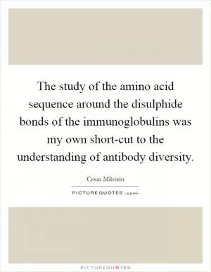 The study of the amino acid sequence around the disulphide bonds of the immunoglobulins was my own short-cut to the understanding of antibody diversity Picture Quote #1