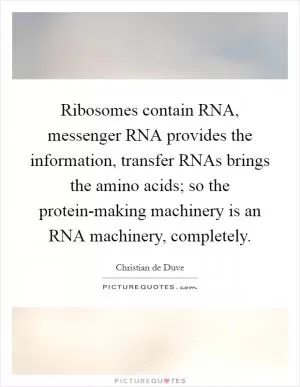 Ribosomes contain RNA, messenger RNA provides the information, transfer RNAs brings the amino acids; so the protein-making machinery is an RNA machinery, completely Picture Quote #1