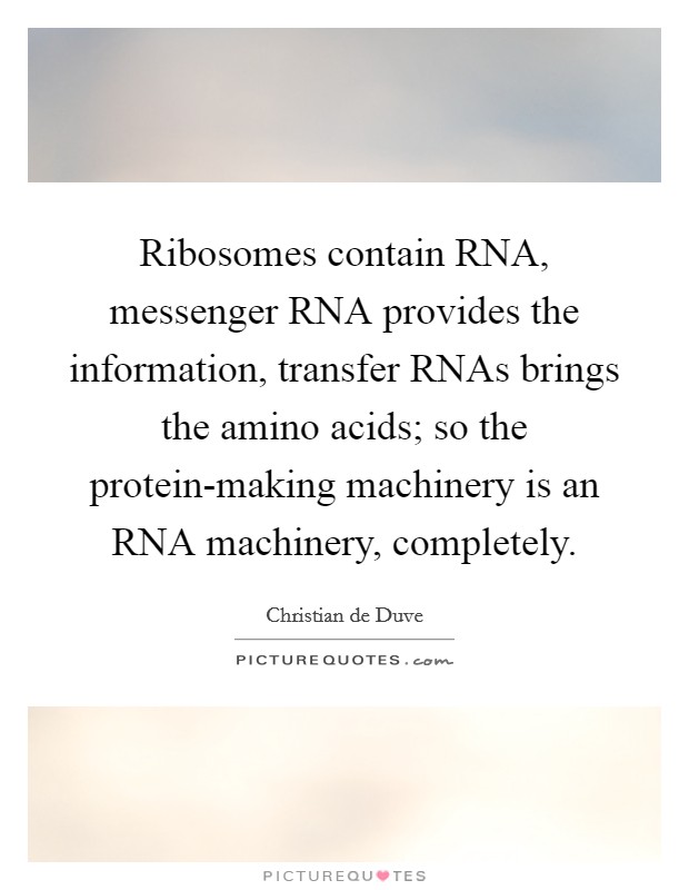 Ribosomes contain RNA, messenger RNA provides the information, transfer RNAs brings the amino acids; so the protein-making machinery is an RNA machinery, completely. Picture Quote #1