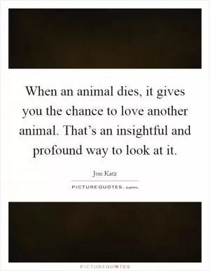 When an animal dies, it gives you the chance to love another animal. That’s an insightful and profound way to look at it Picture Quote #1