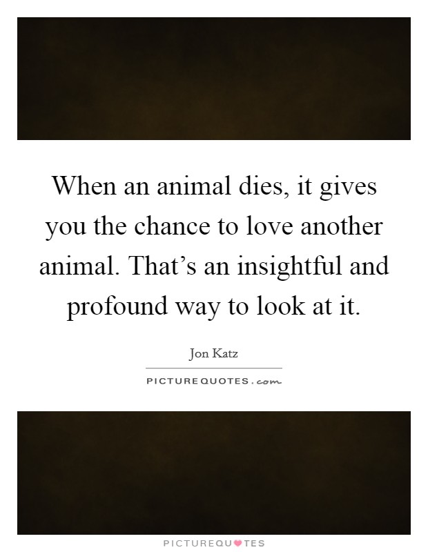 When an animal dies, it gives you the chance to love another animal. That's an insightful and profound way to look at it. Picture Quote #1