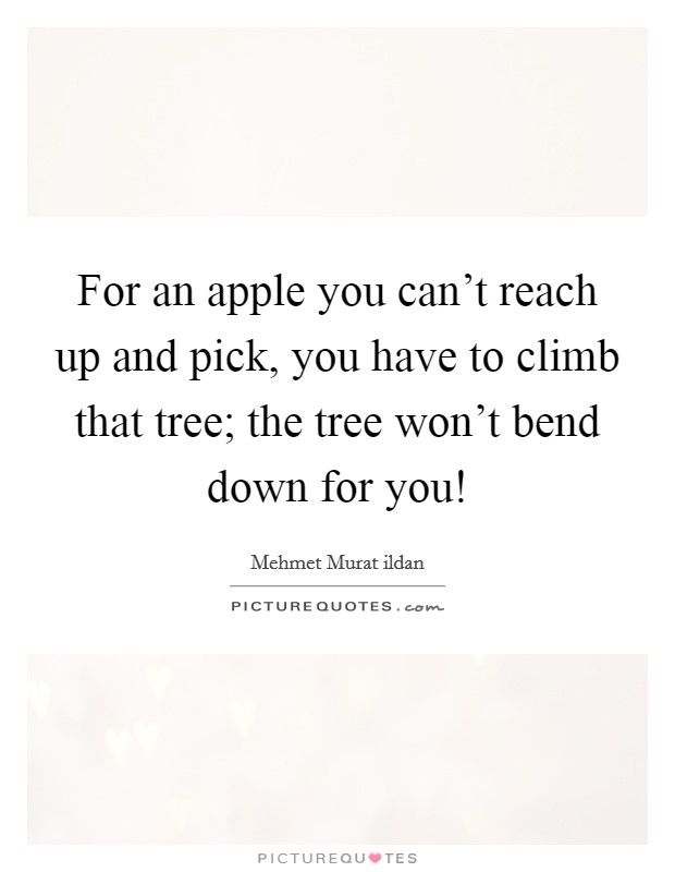 For an apple you can't reach up and pick, you have to climb that tree; the tree won't bend down for you! Picture Quote #1